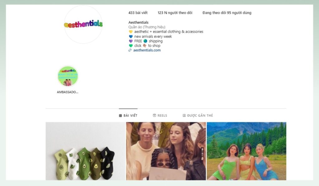 Aesthentials-social-media