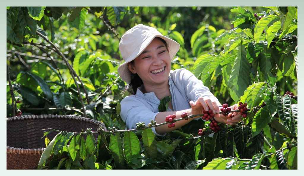 become-a-coffee-farmer-coffee-business-ideas