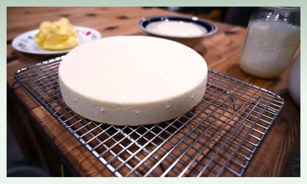 dairy-products-manufacturing-business-ideas-for-rural-areas
