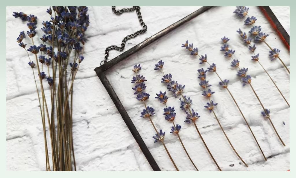 dried-flowers-small-business-ideas-for-farmers