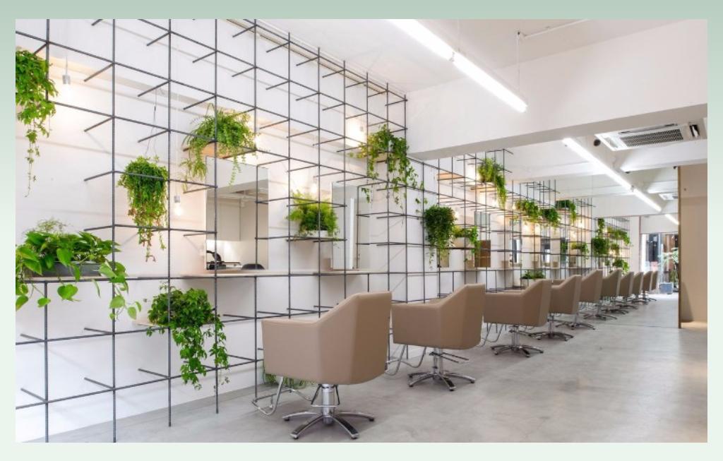 Eco-friendly-business-name-ideas-for-hair-salon
