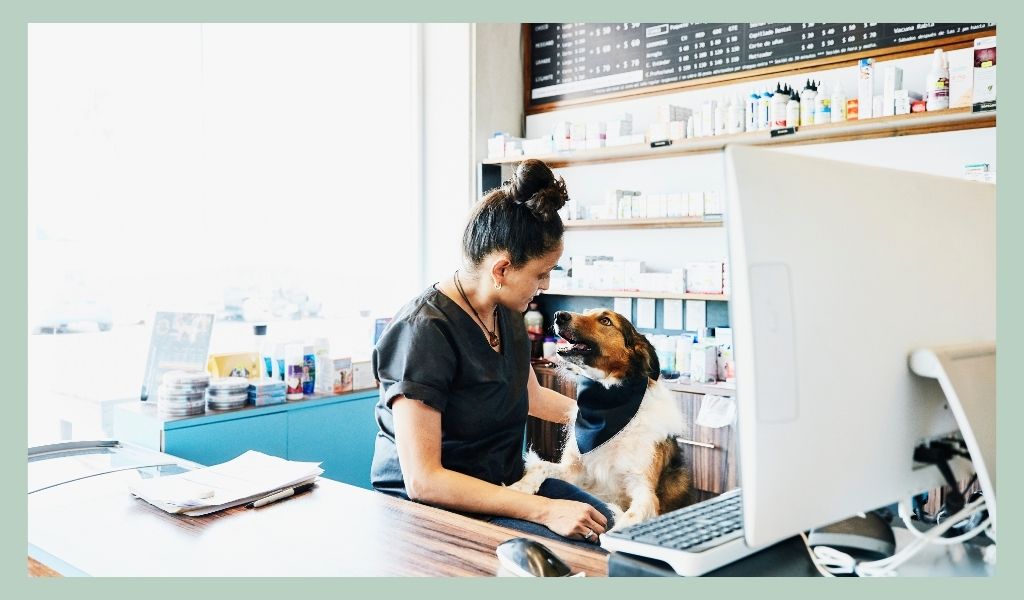 ecommerce-pet-business-name-ideas