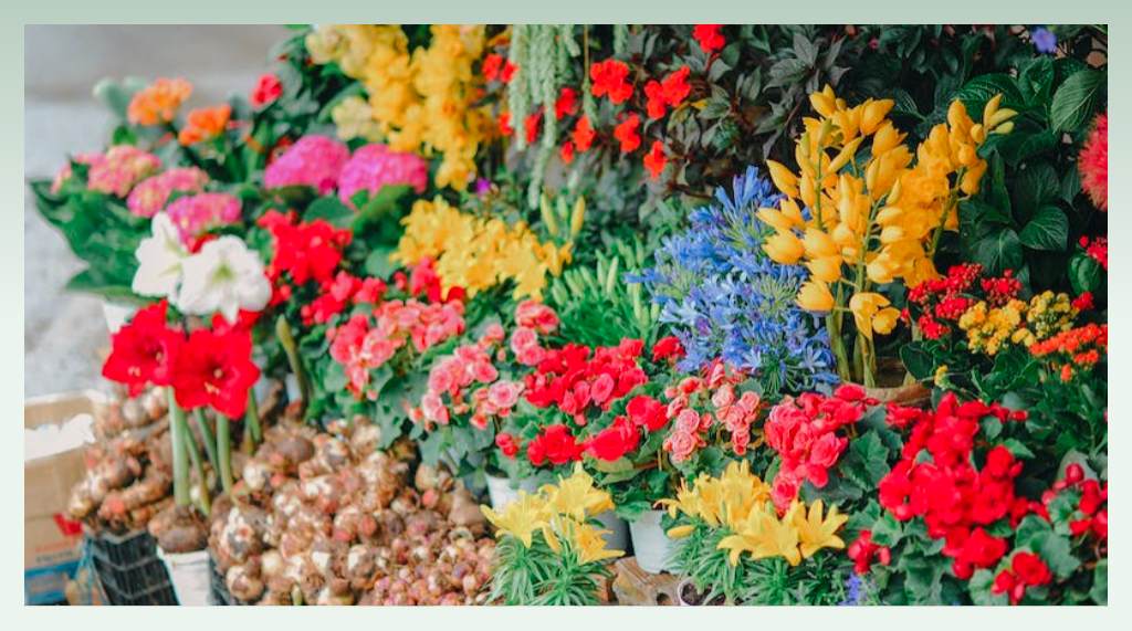 flower-business-name-ideas