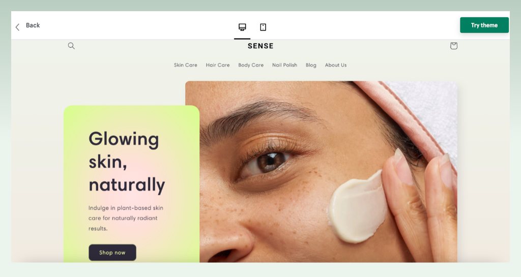 high-conversion-theme-sense