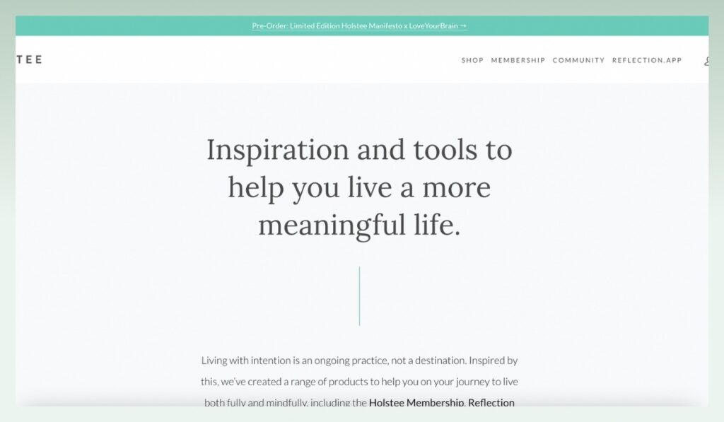 Holstee-best-dropshipping-Shopify-stores