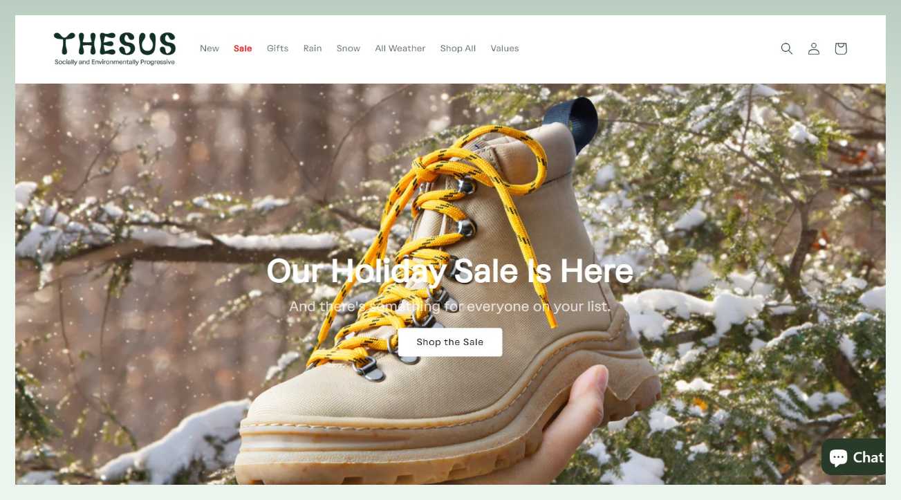 how-to-start-an-online-shoe-business-thesus