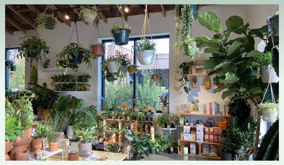 how-to-start-plant-business-at-home