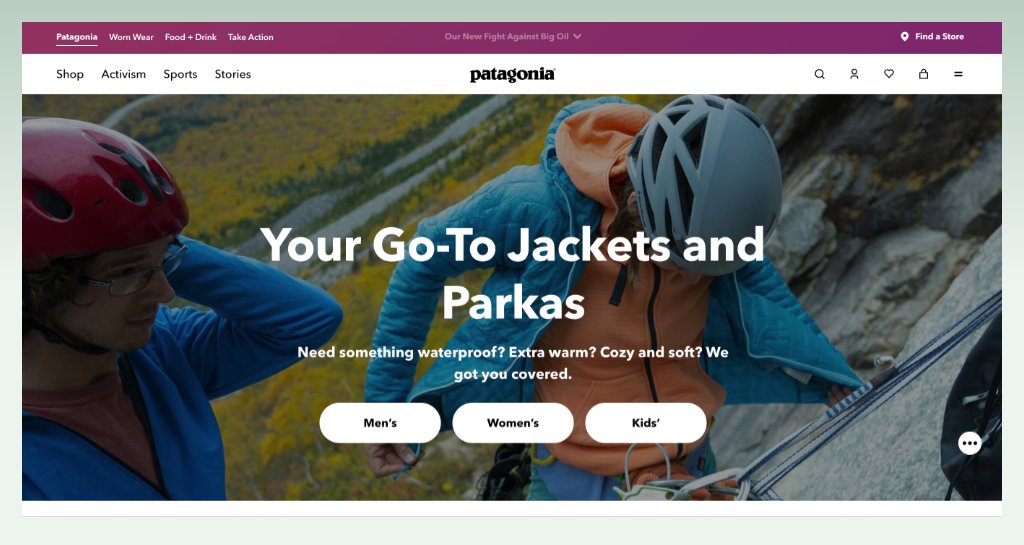patagonia-website-homepage-salesforce-commerce-cloud-vs-shopify