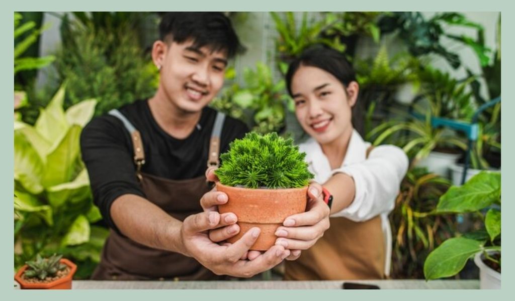 launch-your-business-how-to-start-a-plant-business