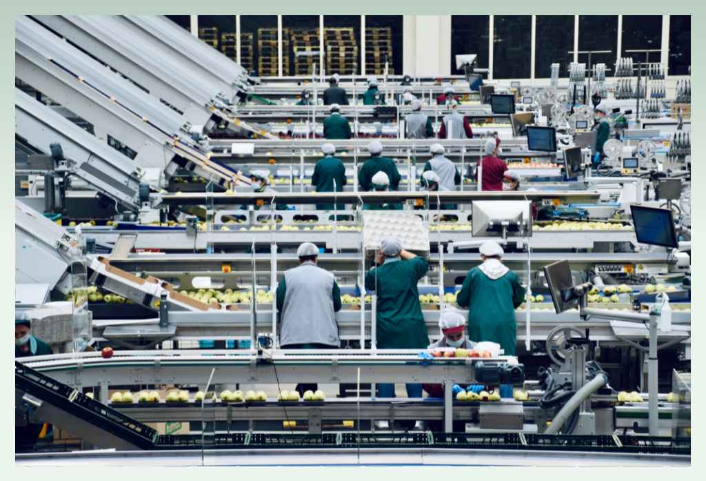 packaged-food-business