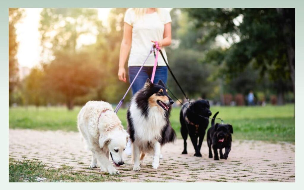 pet-sitting-services-lucrative-business-ideas-for-women