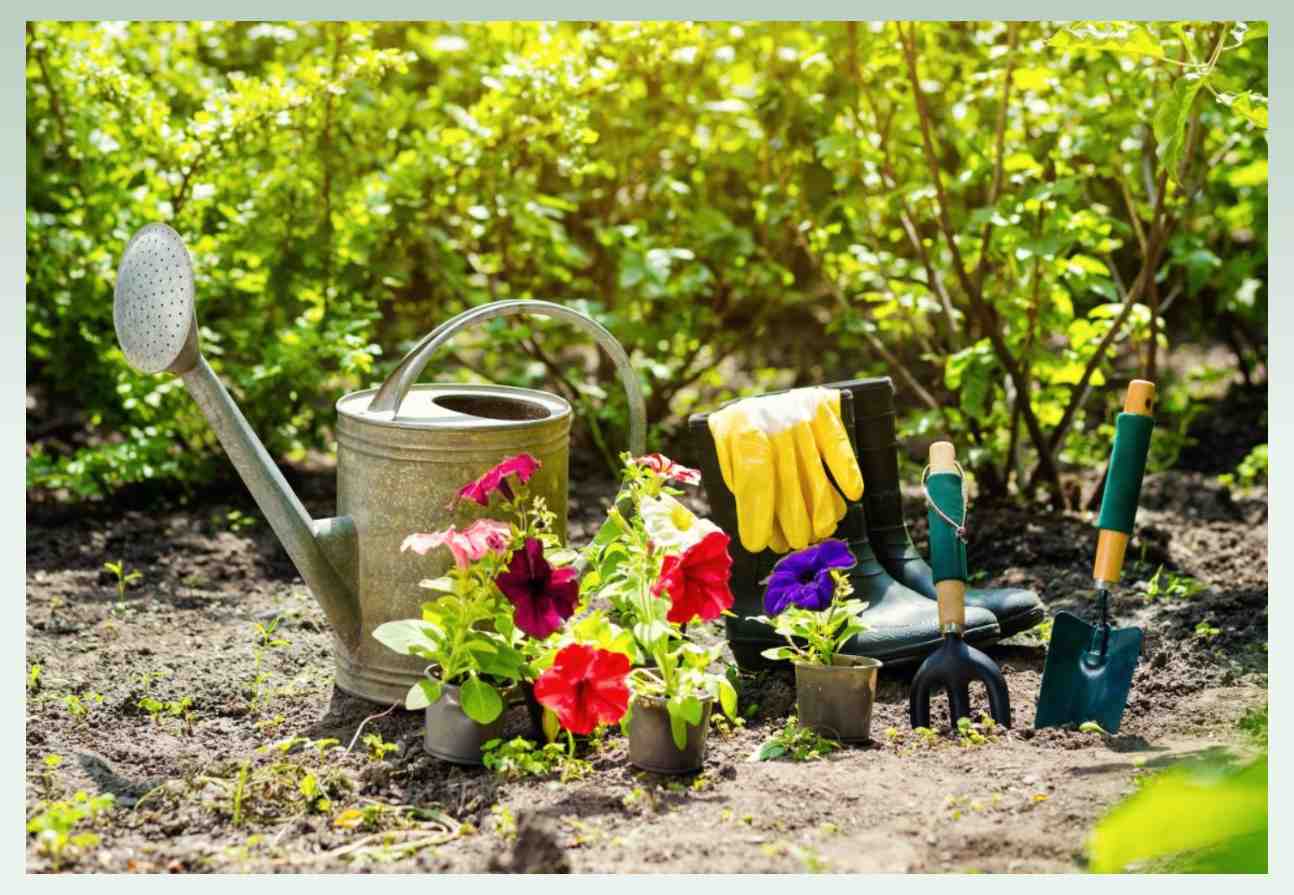 plant-business-ideas