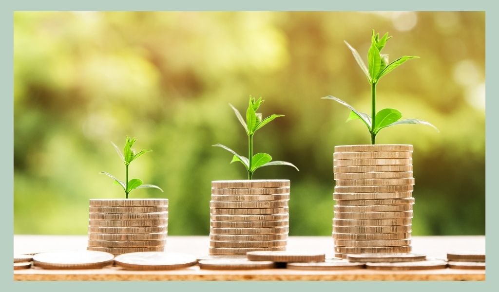 pros-and-cons-how-to-start-a-plant-business