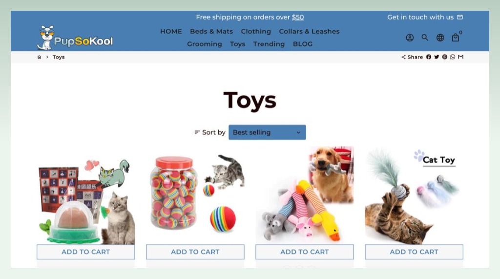 pubsokool-using-debutify-shopify-theme