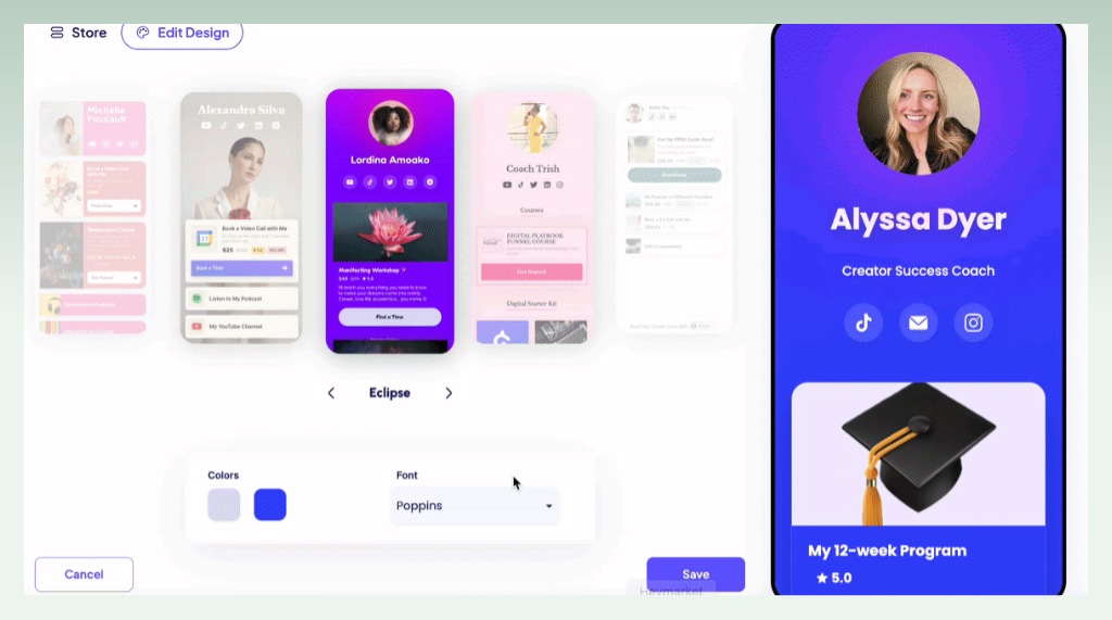 stan-store-design-and-customization