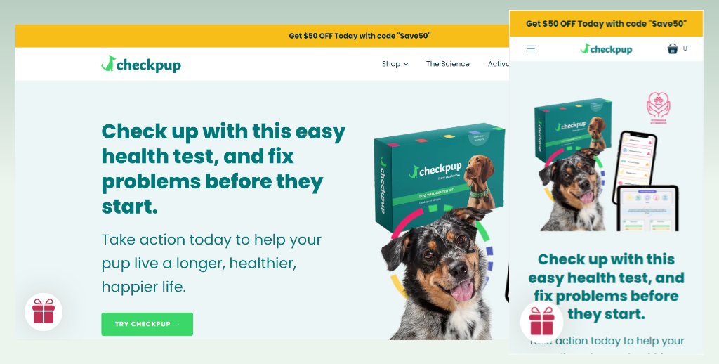 startup-responsive-shopify-theme-example