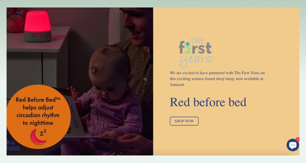 succesful-shopify-one-product-stores