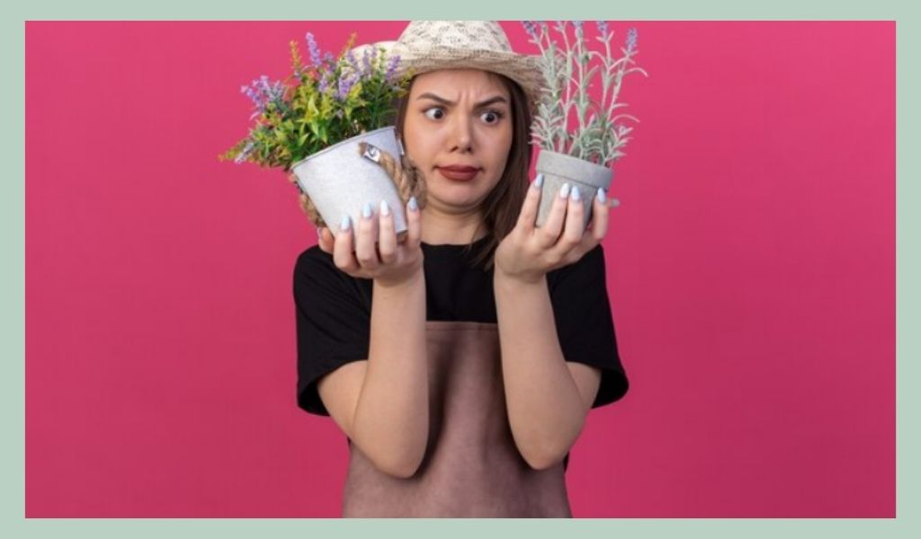 the-ins-and-outs-of-starting-a-flower-shop