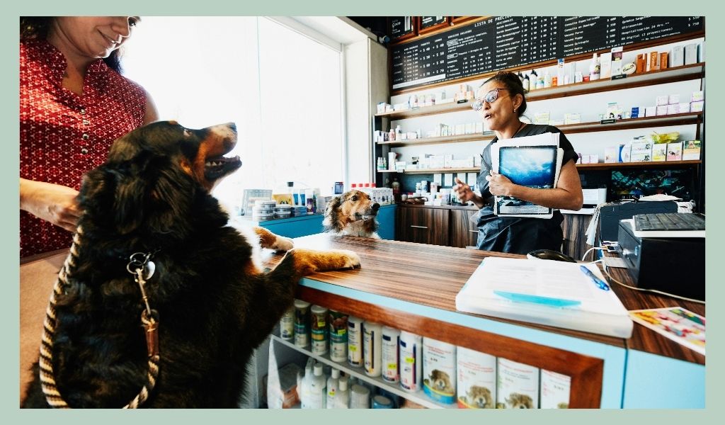 unique-pet-business-name-ideas