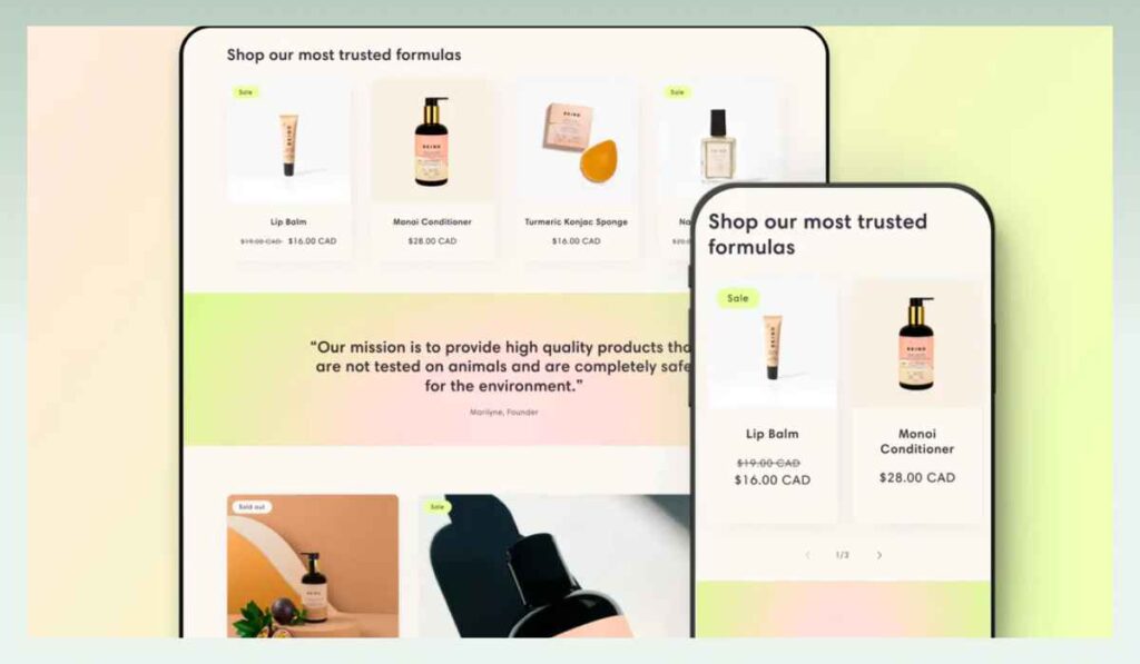which-businesses-is-the-Sense-Shopify-theme-best-used