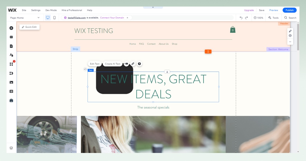 Wix editor