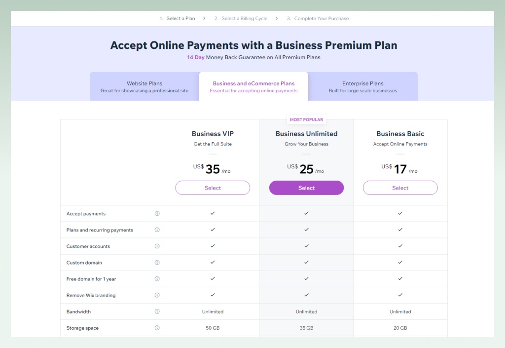 Wix pricing
