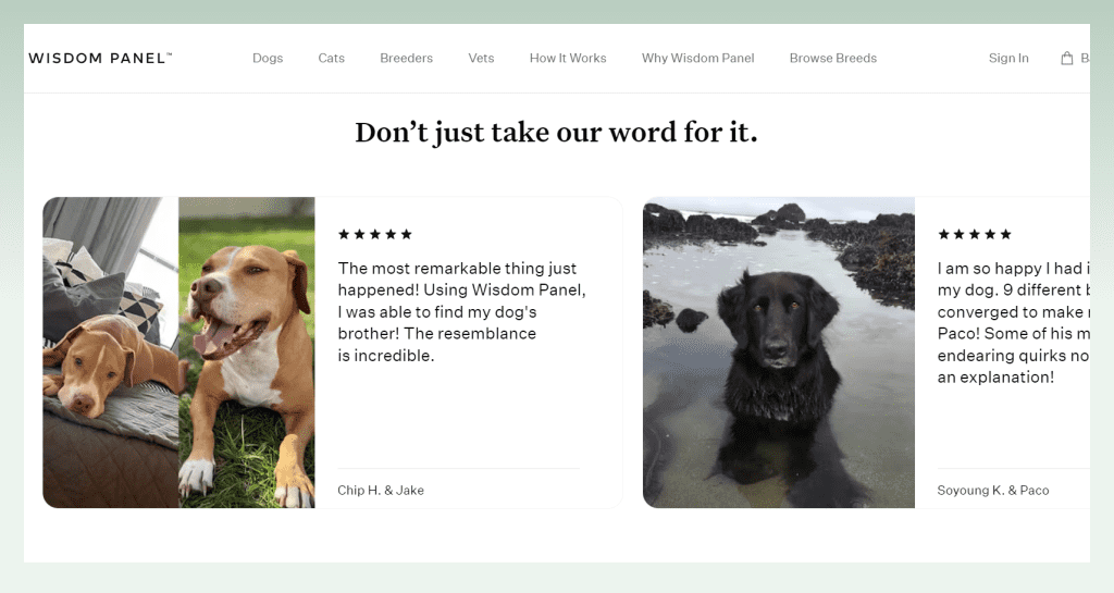 ecommerce-features-pet-shopify-store